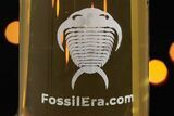 25 Oz Laser-Engraved FossilEra Trilobite Mug - Sale Price - Photo 3
